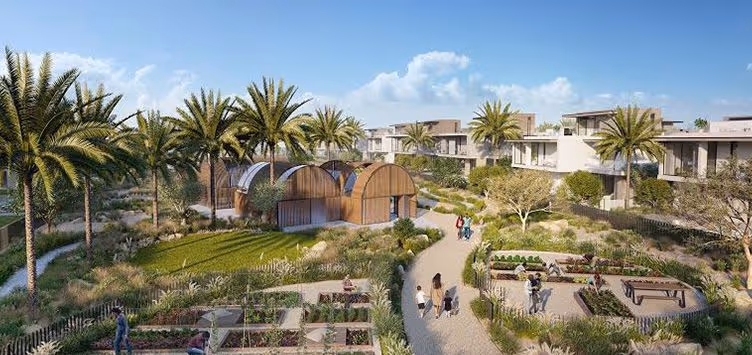 Umm Al Quwain Marina