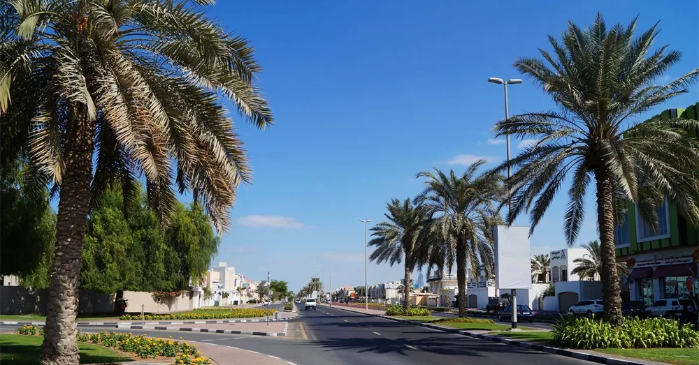 al-manara-4963_xl copy.webp